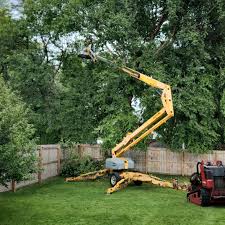Best Grass Overseeding  in West Ack, NY