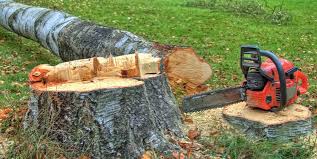 Reliable West Nyack, NY Tree Care Solutions