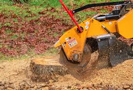 Best Tree Risk Assessment  in West Ack, NY