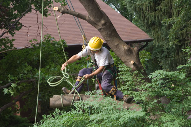 Best Soil Testing and Treatment  in West Ack, NY